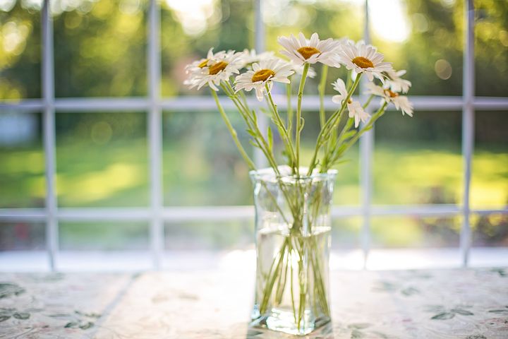 Windows with flowers